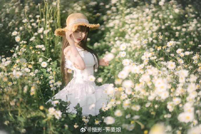 药屋少女的呢喃 封面